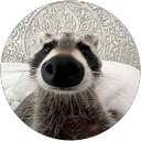 Profilbild von „Darius“